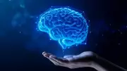 Sirkadiyen Ritim Bozukluğu Alzheimer Riskini Artırıyor: Uzman Uyarıyor