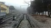 TCDD Ot Mücadelesi Kapsamında Üç Ana Hat Üzerinde İlaçlama Yapacak