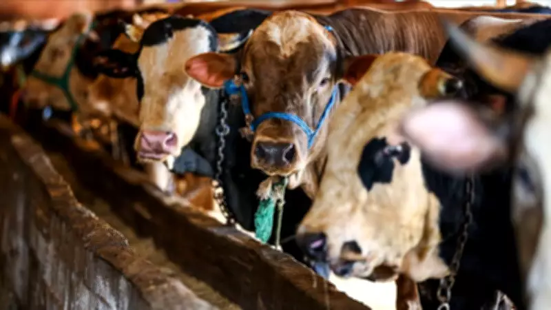 2026 Kurban Bayramı Ne Zaman? 27 Mayıs Çarşamba Başlıyor, Tatil 9 Gün Olabilir