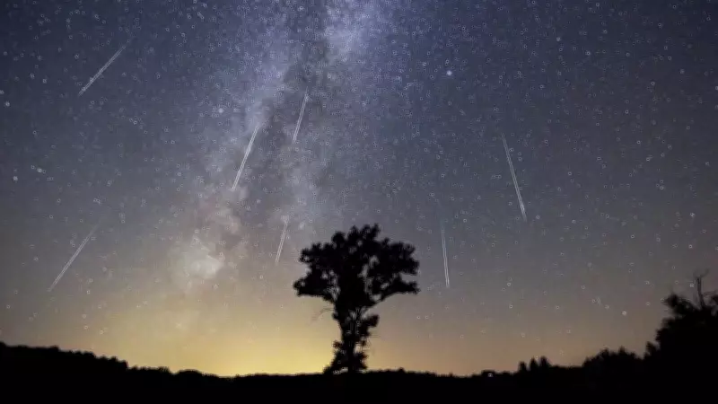2026 Lyrid Meteor Yağmuru Zirve Tarihi Açıklandı: İşte İzleme Rehberi