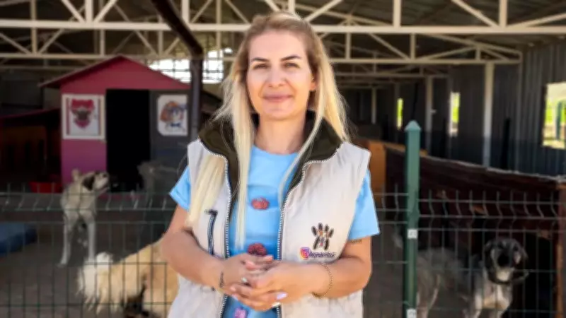 26 Bin Lira Kira Borcu Nedeniyle Hayvan Derneğine Tahliye Kararı