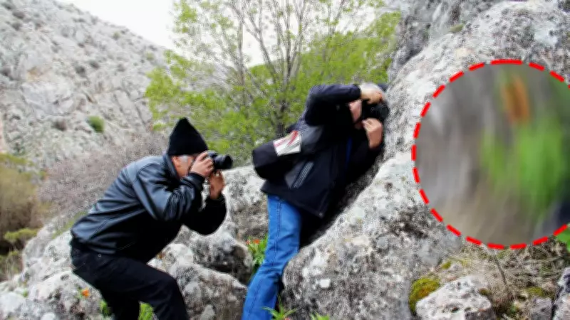 5 Yıl Sonra İlk Kez Açan Ters Lale: Dokunmanın Cezası Dudak Uçuklattı