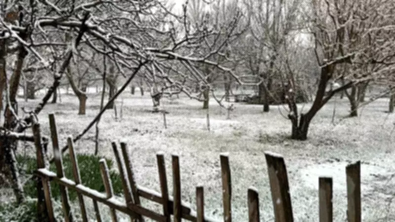 Afyonkarahisar'da Nisan Ayında Lapa Lapa Kar Yağdı, İlçe Beyaza Büründü