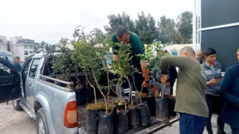 Alanya'da 5 Bin Keçiboynuzu Fidanı Dağıtıldı, Üreticilere Destek Sürüyor