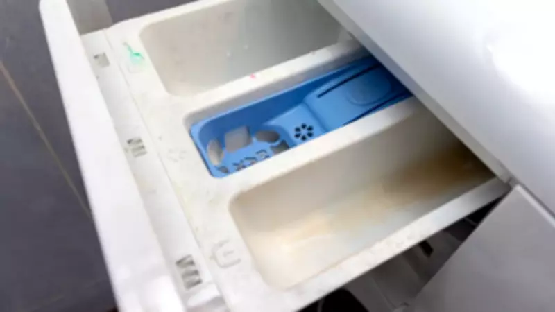 Çamaşır Makinesinin Gizli Gözü: İşlevini Öğrenince Şaşıracaksınız