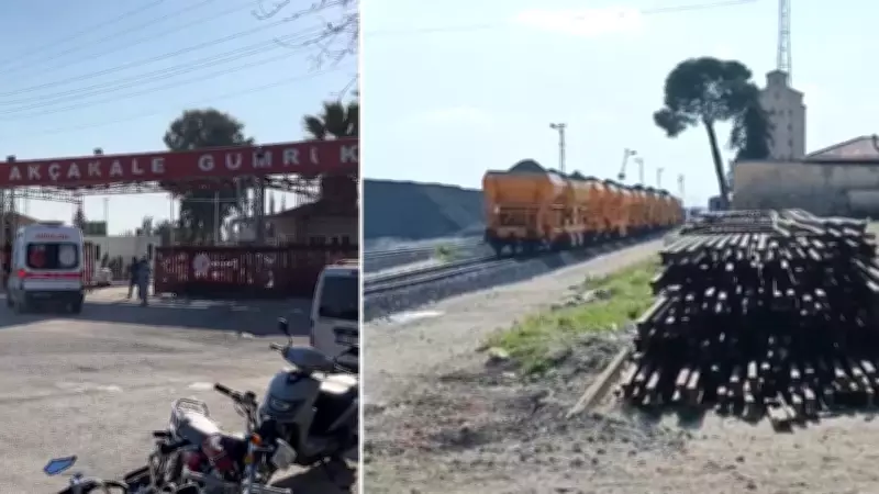 Şanlıurfa'da Mayın Patlaması: Çoban Kadın Ağır Yaralandı