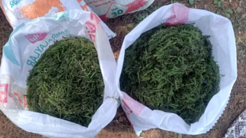 Antakya'nın şifalı mirası tüm dünyanın peşinde: Sofrasından eksik etmeyen yaşadı