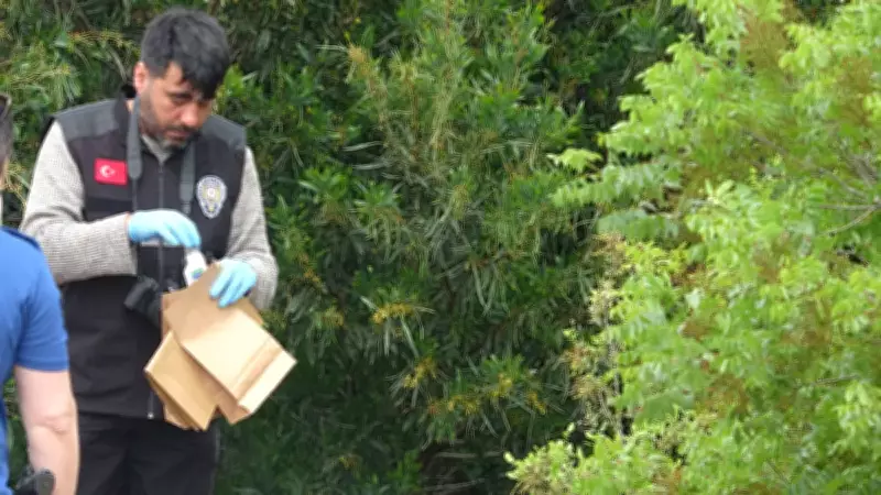 Antalya'da ormanlık alanda erkek cesedi bulundu