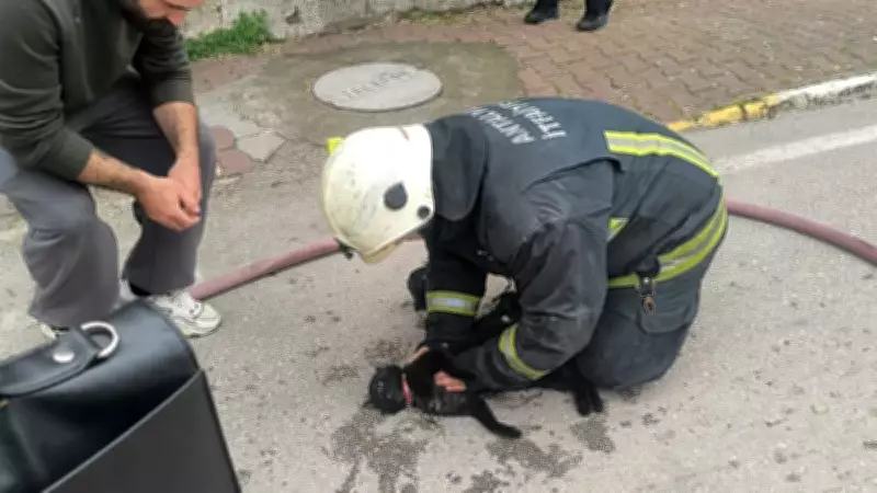 Antalya'da İtfaiye Ekipleri, Yangından Kurtardıkları Kediyi Kalp Masajıyla Hayata Döndürdü