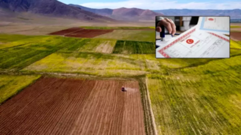 Arazi Yatırımcısı Reel Kayıpta: İmarsız Arazilerde Fiyatlar Enflasyonun Gerisinde Kaldı