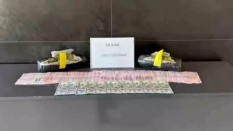 Ağrı'da Büyük Uyuşturucu Operasyonu: İran'dan Gelen Skunk Ele Geçirildi
