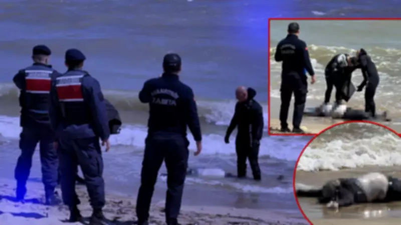 Arnavutköy sahilinde erkek cesedi bulundu