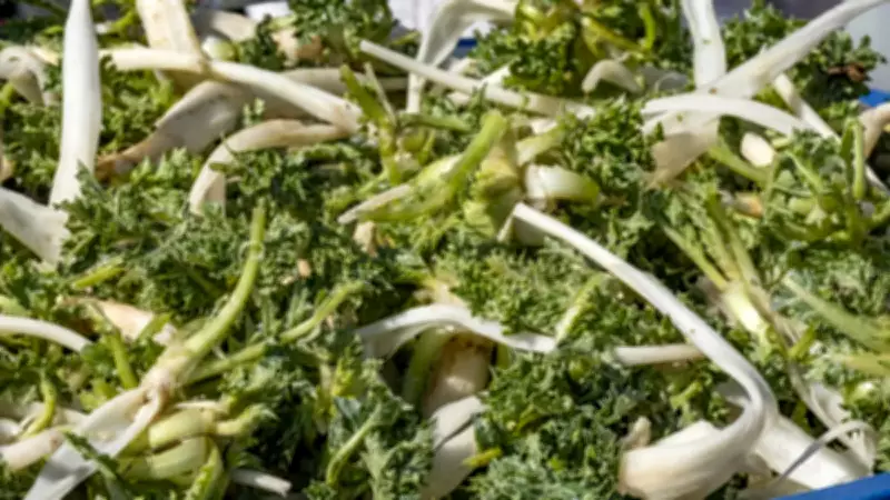 Bahçenizdeki Bu Yabani Otu Atmayın: Kilosu Altınla Yarışıyor, Faydaları İnanılmaz