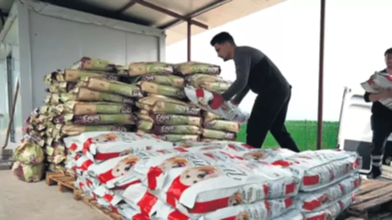 Balıkesir'de Hayvanseverler 2 Ton Mama Bağışıyla Can Dostlara Destek Oldu