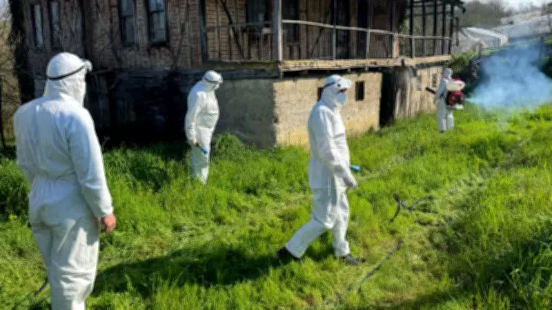 Bartın'da Kahverengi Kokarca İstilasına Karşı 16 Bin Metruk Yapı İlaçlandı