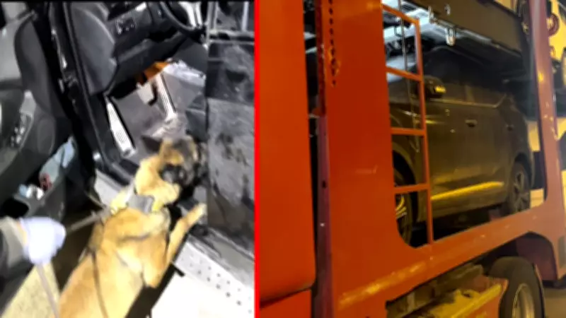 Batman'da TIR'da Cipin Gizli Bölmesinden 24 Kilo 600 Gram Uyuşturucu Çıktı