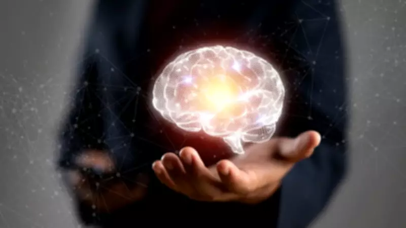 Beyin Sağlığını Koruyan 11 Süper Besin Açıklandı: Bilim İnsanları Açıkladı