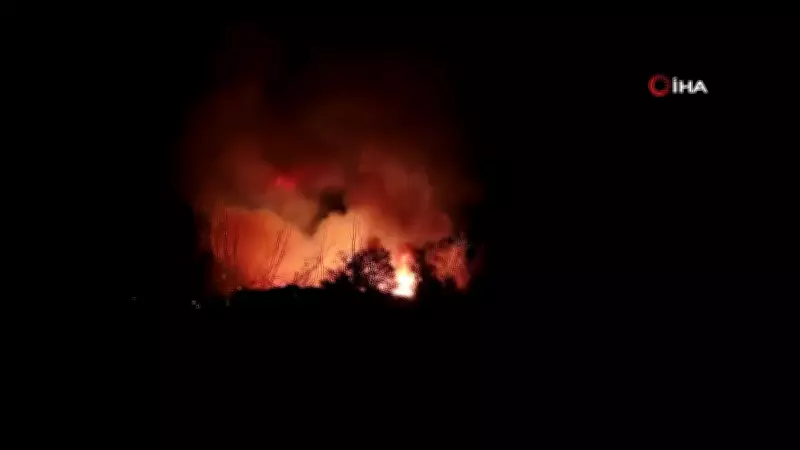 Beykoz'da orman yangını 9 saat sonra kontrol altına alındı