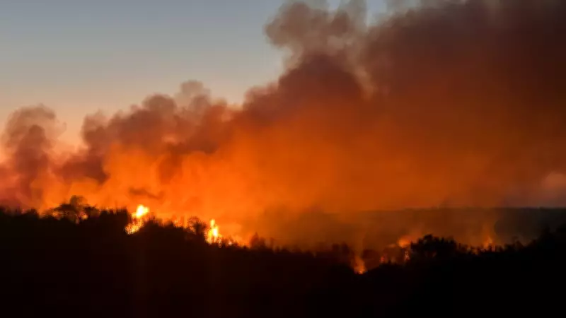 Beykoz'da Orman Yangını: Kontrol Altına Alınmıştı, Yeniden Alevlendi