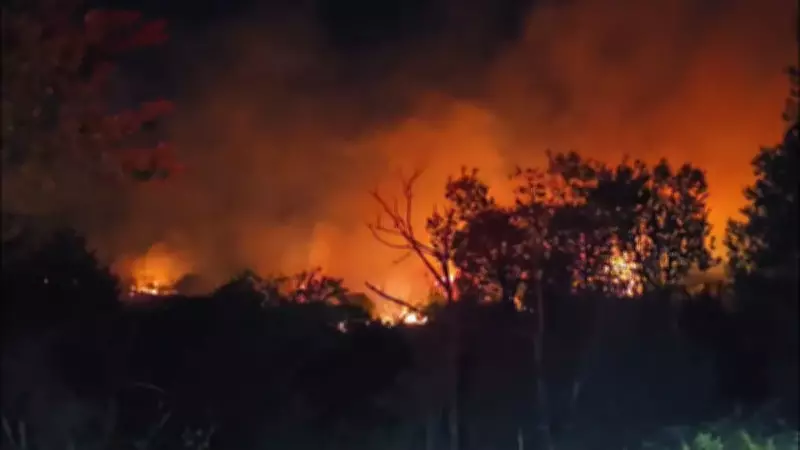 Beykoz'da orman yangını: Rüzgar alevleri yeniden büyüttü