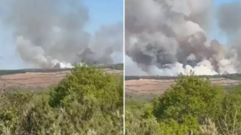 Beykoz'da orman yangınına havadan ve karadan müdahale sürüyor