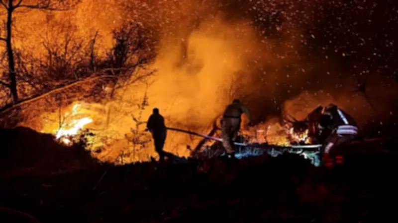Beykoz'daki orman yangını 9 saatte kontrol altına alındı