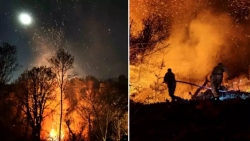 Beykoz'daki orman yangını kontrol altına alındı, 14 hektar zarar gördü