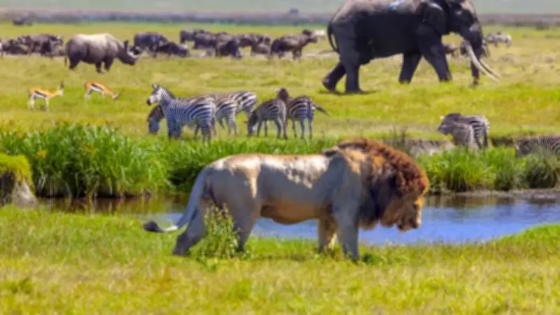 Bilim Dünyası Bu Gizemi Konuşuyor: Neden Hiçbir Memeli Mavi Doğmuyor?