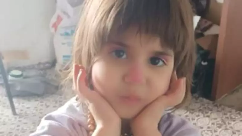 Bitlis Hizan'da Kaybolan 5 Yaşındaki Rabia Ilgaz İçin Yoğun Arama Başlatıldı