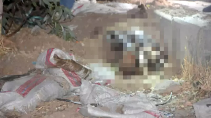 Bodrum'daki Çuval Cinayetinde Korkunç Detaylar: İstenen Cezalar Açıklandı