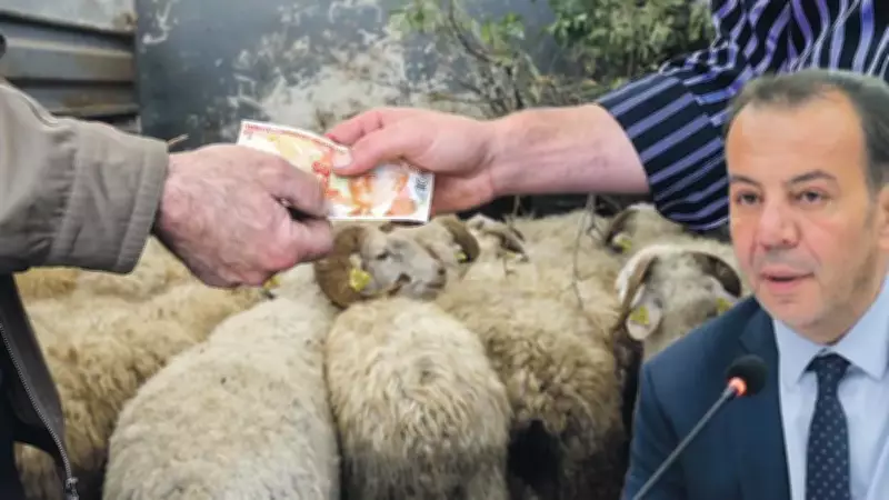 BOLSEV Başkanı Kurban Dolandırıcılığını İtiraf Etti: 'Paraları Topladık, Kesmedik'