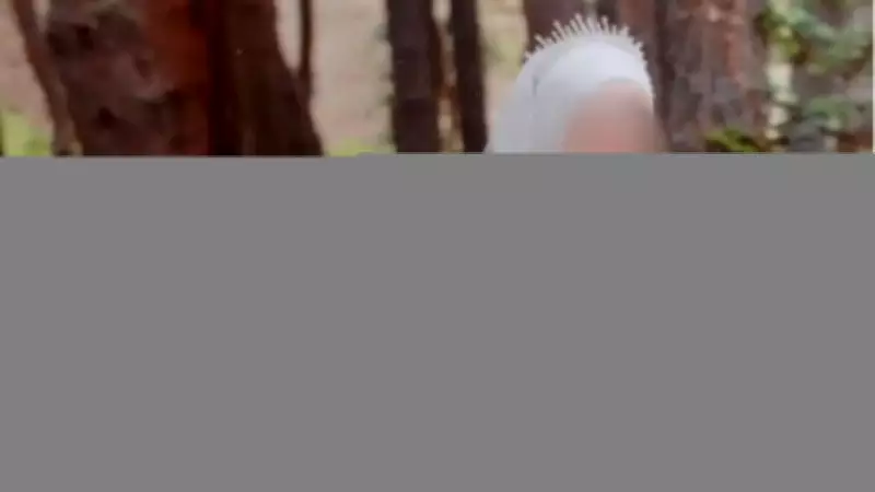 Bolu'da 2 aylık bebeğini öldüren anne tutuklandı