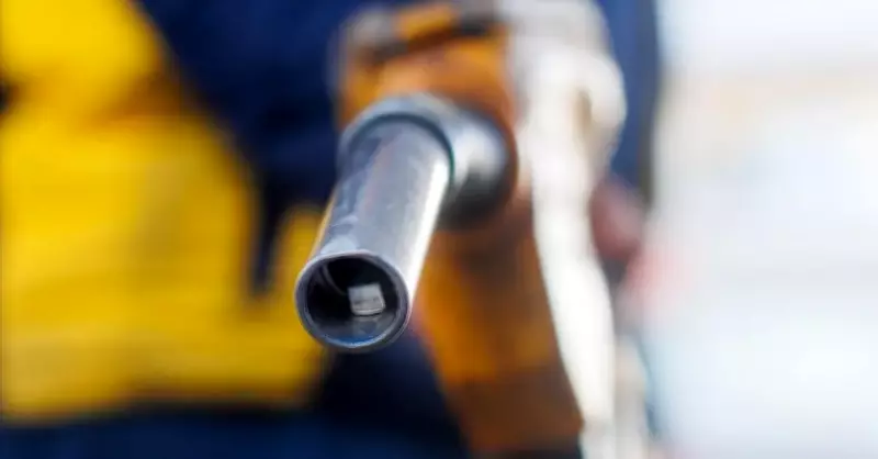 Borsa İstanbul'da Gün Sonu: BIST 100 Endeksi 12.869,41 Seviyesinde Kapandı