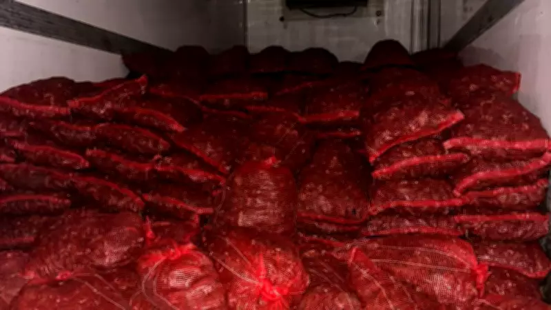 Bursa ve Balıkesir'de 10 Ton Kaçak Midye Ele Geçirildi: Halk Sağlığı Tehdidi