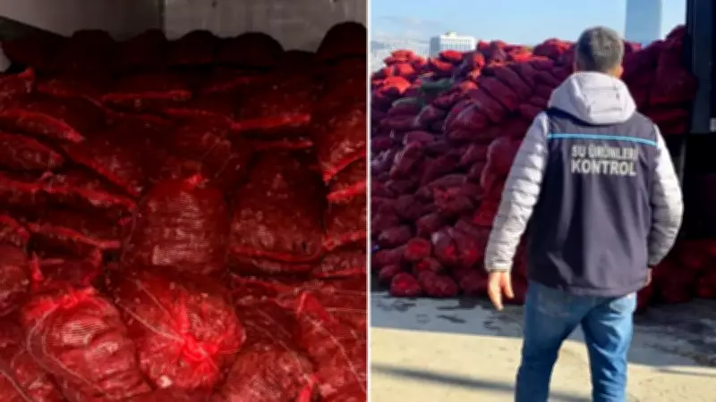 Bursa ve Balıkesir'de Eş Zamanlı Operasyon: 10 Ton Kaçak Midye Ele Geçirildi