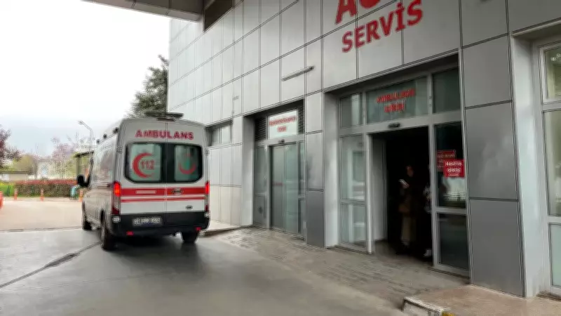 Bursa'da Akrep Sokan Kadın Hastaneye Kaldırıldı