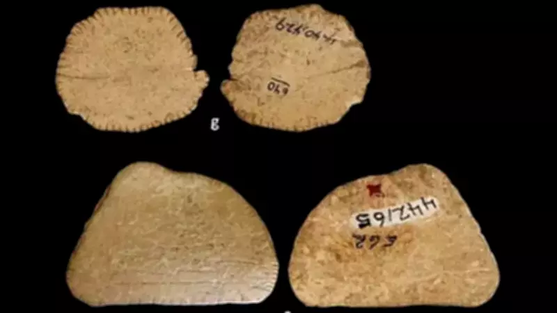 Buz Çağı'nda Şans Oyunları: 12.000 Yıllık Zar Keşfi Tarihi Değiştirdi