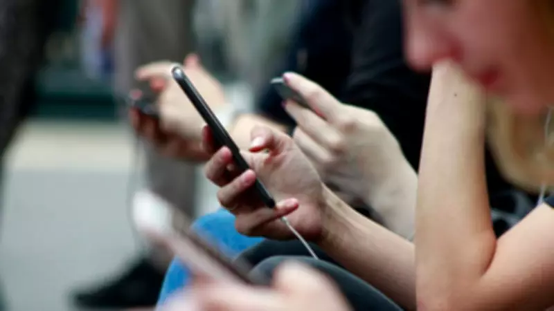C31K Kapatıldı! Okul Saldırılarıyla Bağlantılı Telegram Grubunun Karanlık Yüzü