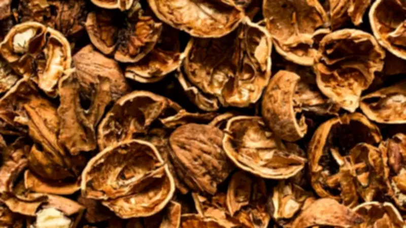 Ceviz Kabuklarını Sakın Çöpe Atmayın: Boğaz Ağrısına Doğal Çözüm