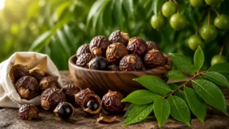 Ceviz Sanıyorduk Ama Meğer Sabunmuş! Himalayalar'dan Gelen Bu Meyve Temizliğin Sırrı