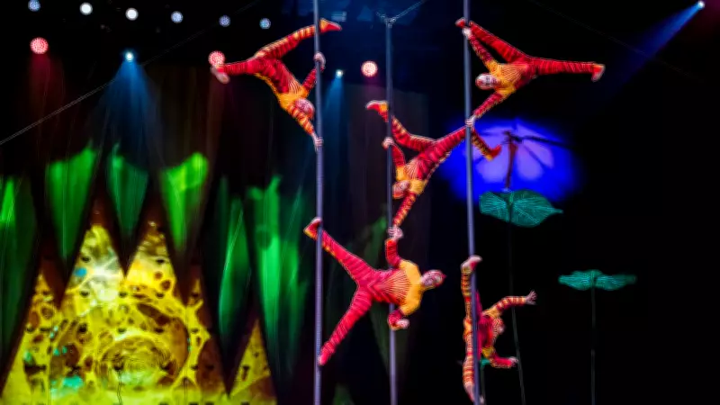Cirque du Soleil 'OVO' Gösterisiyle 10 Yıl Sonra İstanbul'a Dönüyor