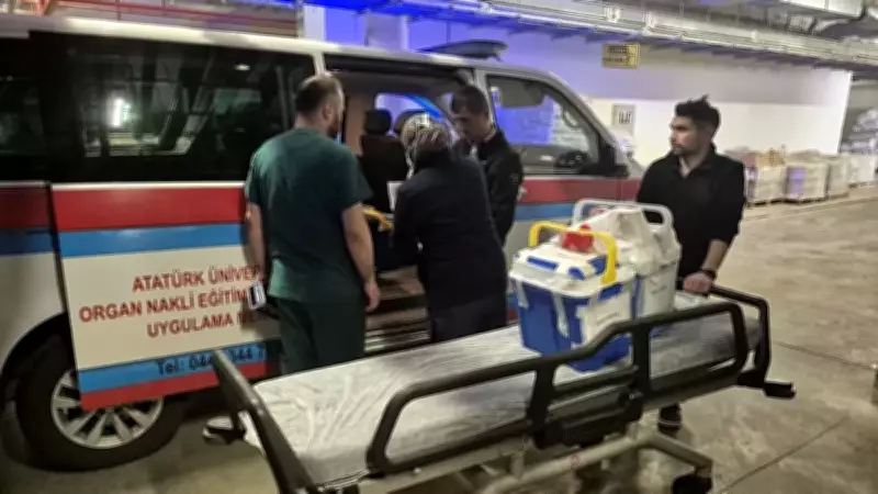 Cumhurbaşkanı Erdoğan, Eşi Emine Erdoğan'ı 'İki Gözüm' Diyerek Anlattı