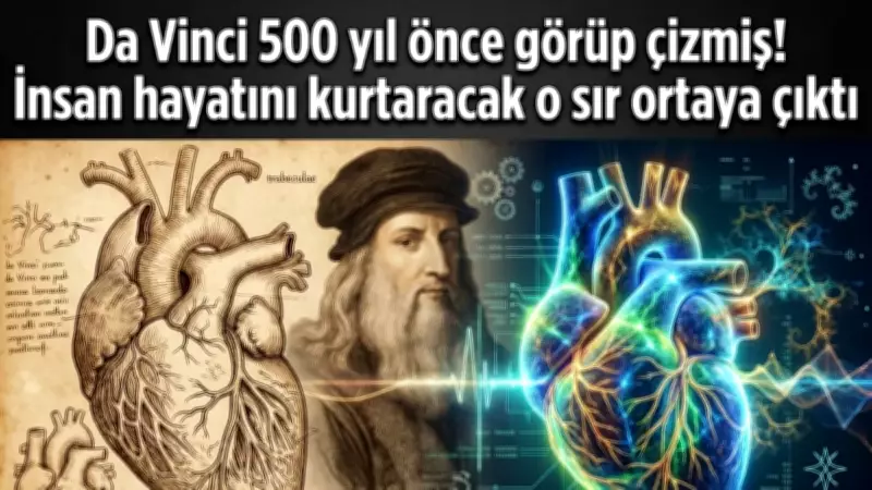 Da Vinci'nin 500 Yıllık Çizimi, Kalp Sağlığında Devrim Yaratacak Sırrı Barındırıyor