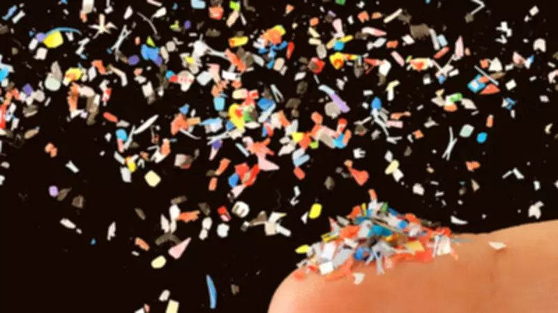 Damarlarımızda Plastik Mi Akıyor? Kan Örneklerinden Çıkan Korkunç Gerçek Açıklandı!