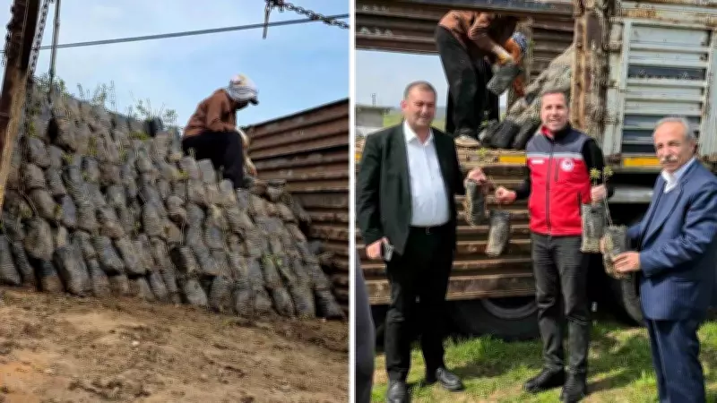 Dicle'de Çiftçilere 1.176 Fıstık Fidanı Hibe Edildi