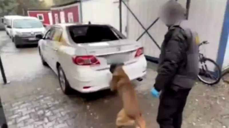 Diyarbakır'da Araçta Gizli Bölmeden 6 Kilo 660 Gram Kokain Ele Geçirildi