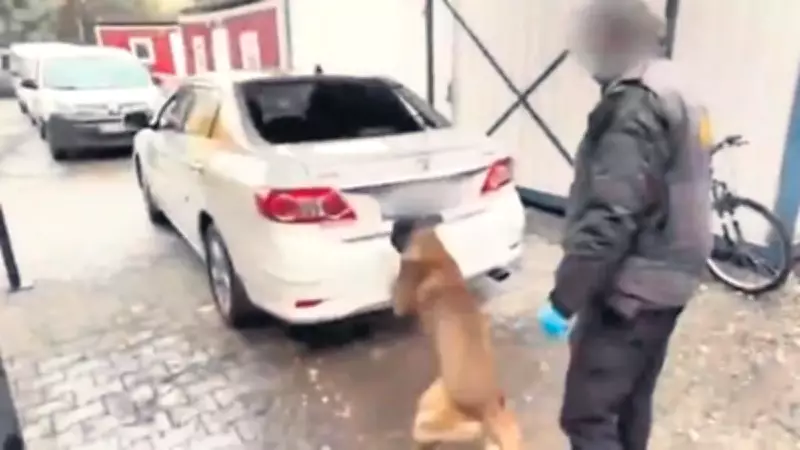 Diyarbakır'da Narkotik Köpeği Zero'dan Tam İsabet: 6 Kilo 660 Gram Kokain Ele Geçirildi