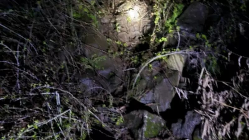 Diyarbakır'da Oyun Faciası: Kayanın Altında Kalan 2 Çocuktan 1'i Hayatını Kaybetti