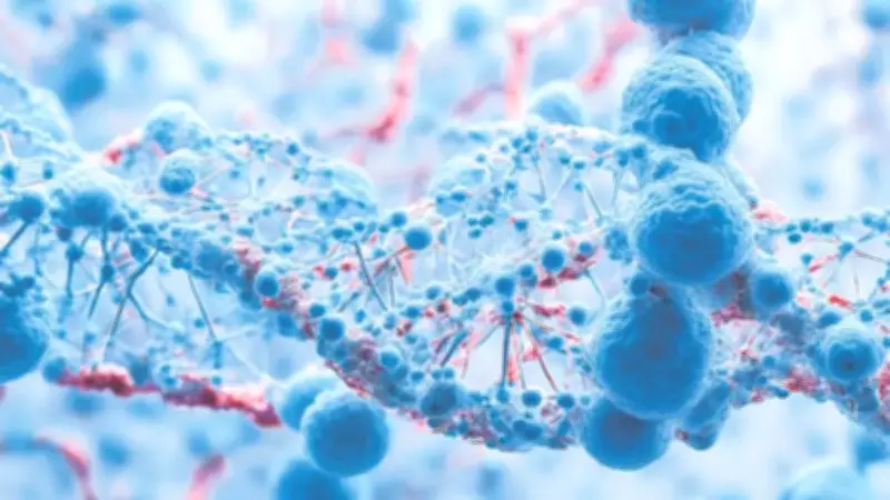 DNA Hareketinin Durması Kanser Riskini Artırıyor: Yeni Tedavi Umudu