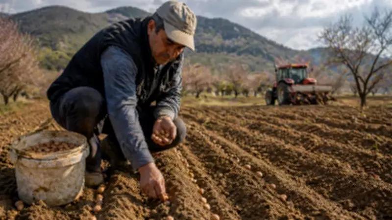 Dünyanın en pahalı yemişleri Türkiye'de yetişiyor: Çiftçilere servet kazandırıyor
